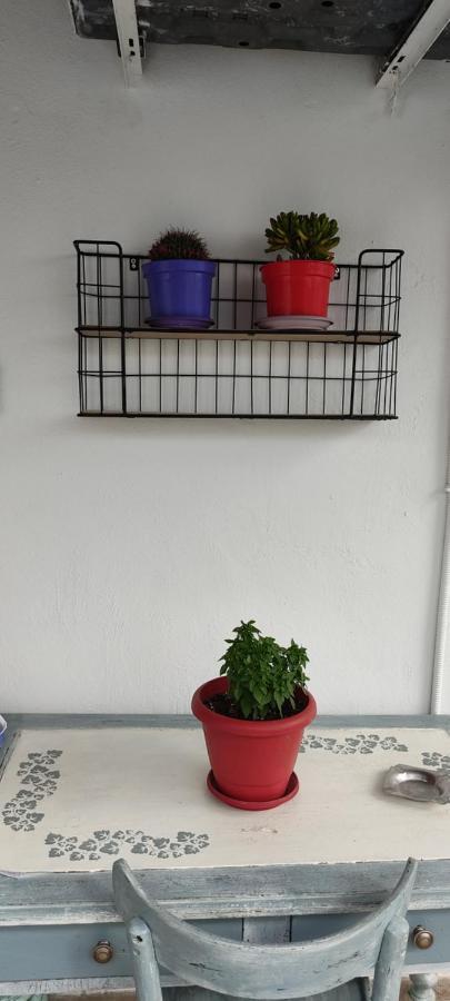 Apartment Tsaira อาโมเลียนี ภายนอก รูปภาพ